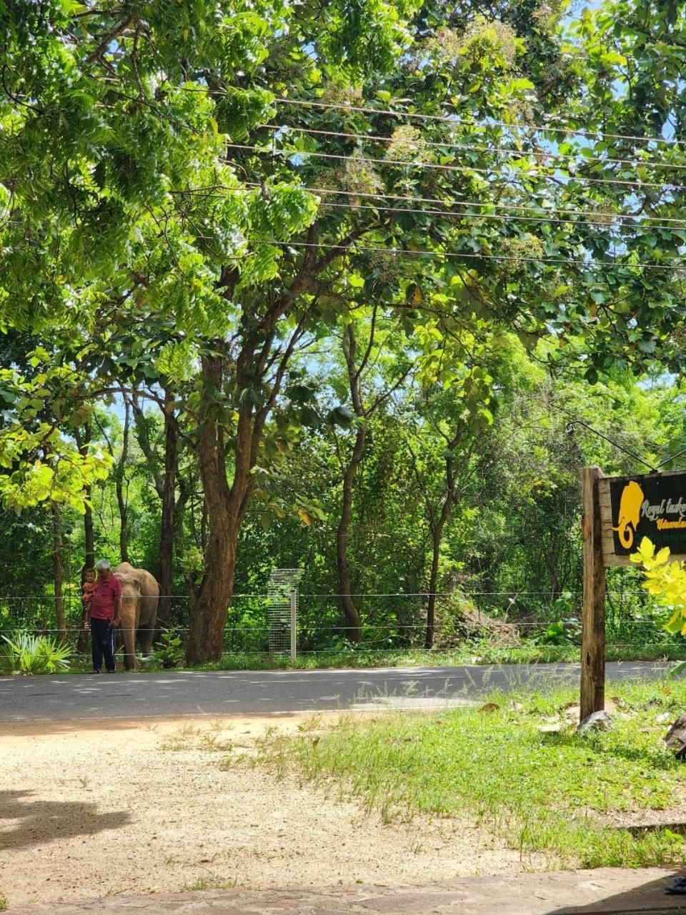 Royal Tusker Hotel Удавалаве Екстер'єр фото